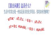 人教版九年级化学下册 第十一单元  常见的盐课件PPT
