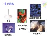 人教版九年级化学下册 第十一单元  常见的盐课件PPT