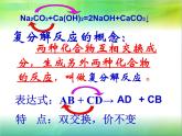 人教版九年级化学生活中常见的盐第三课时课件PPT