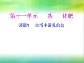 人教版九年级化学生活中常见的盐第三课时课件PPT