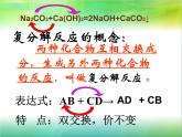 人教版九年级化学生活中常见的盐第四课时课件PPT