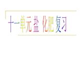 人教版九年级化学十一单元 盐  化肥 复习课件PPT