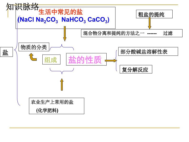 人教版九年级化学十一单元 盐  化肥 复习课件PPT第2页