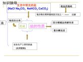 人教版九年级化学十一单元 盐  化肥 复习课件PPT