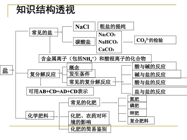 人教版九年级化学十一单元 盐  化肥 复习课件PPT第3页