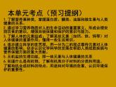 人教版九年级化学下册 第十二单元“化学与生活”主题复习课件PPT