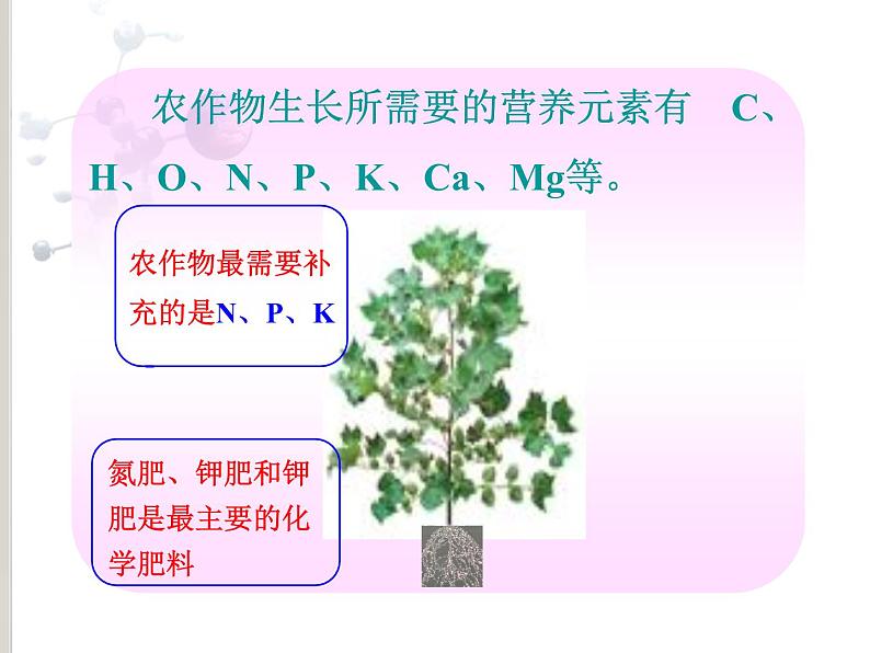 人教版九年级化学下册第11单元化肥肥料（共26张PPT）第5页