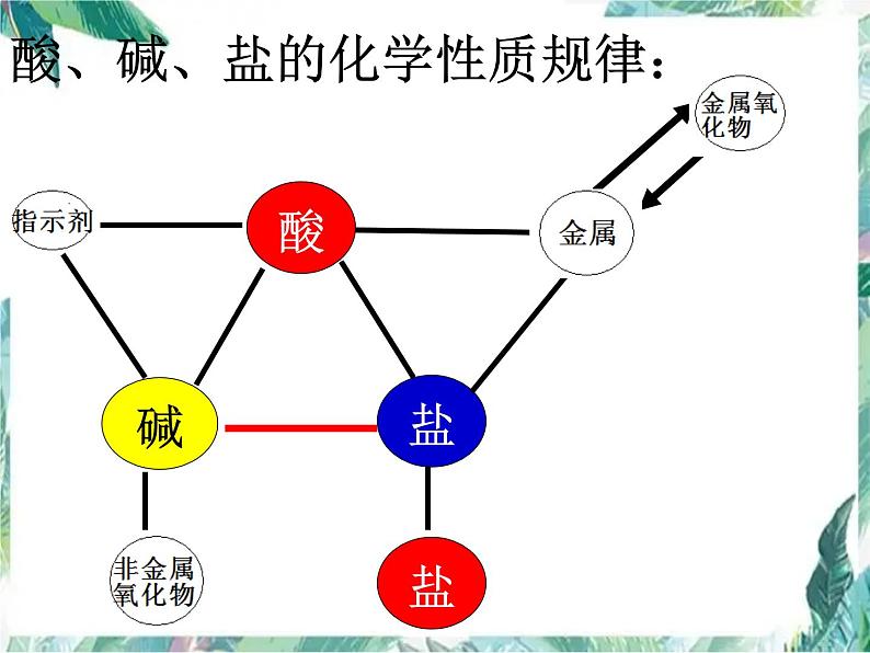 初中 化学复习  酸碱盐知识梳理课件PPT02