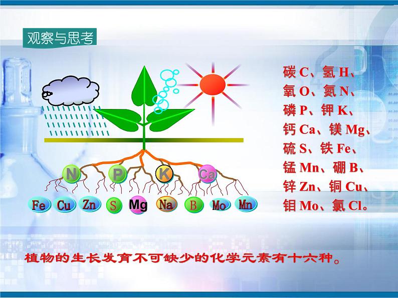 北京课改版九下化学 12.3化学肥料 课件02