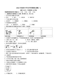 2022年海南省东方市民族中学中考模拟化学试题(word版含答案)