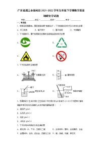 广东省湛江市徐闻县2021-2022学年九年级下学期教学质量调研化学试题(word版含答案)