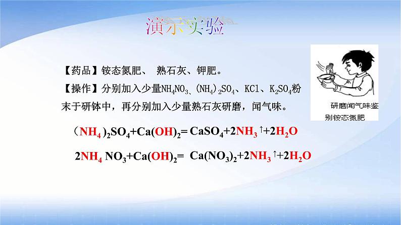 京改版九年级下册化学 12.3化学肥料 课件第8页