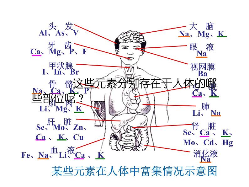鲁教版九年级下册化学  10.2化学元素与人体健康 课件06