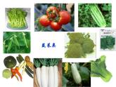 鲁教版九年级下册化学  10.1食物中的有机物 课件