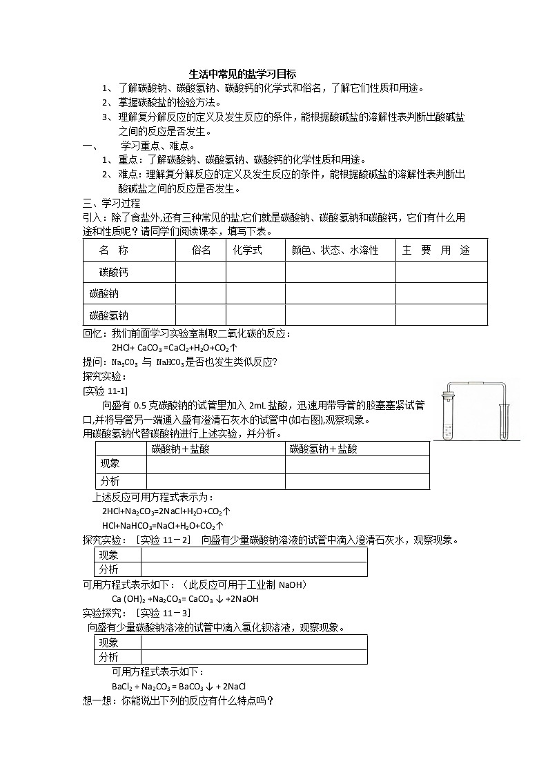 人教五四制9下化学 4.1生活中常见的盐  教案01