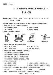 河南省郑州市2022年郑州外国语中学一模化学试卷及答案