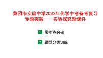 2022年化学中考备考复习专题突破——实验探究题课件