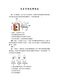 2022年中考化学专题复习热点题型解读质量守恒定律探究