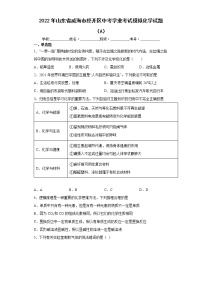 2022年山东省威海市经开区中考学业考试模拟化学试题（A）(word版含答案)