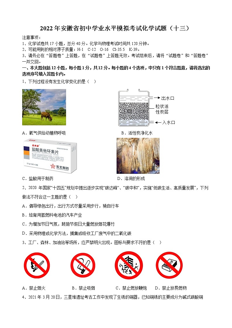 2022年安徽省初中学业水平模拟考试化学试题（十三）(word版含答案)第1页