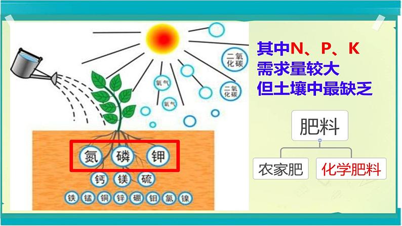 京改版九年级下册化学 12.3化学肥料 课件02