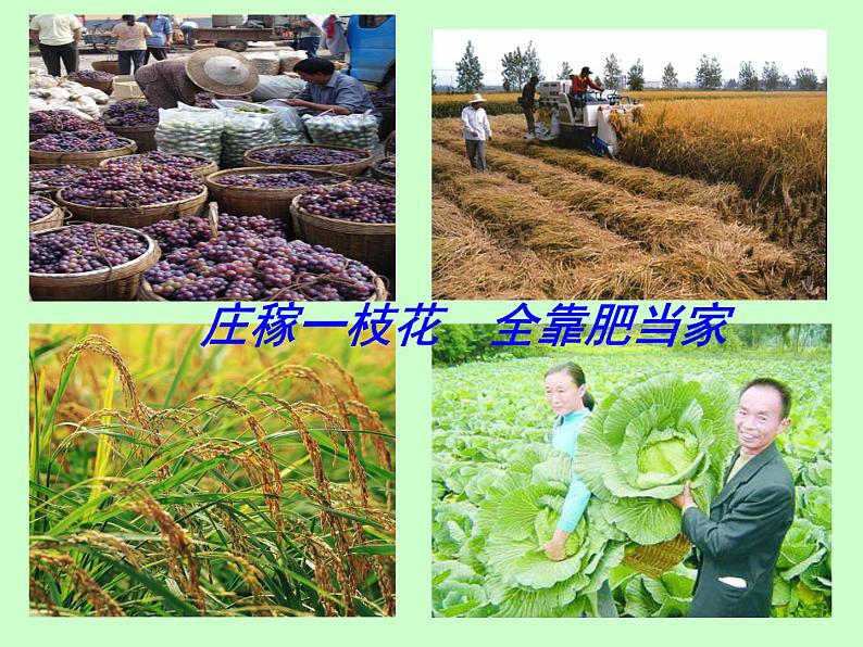 京改版九年级下册化学 12.3化学肥料 课件02