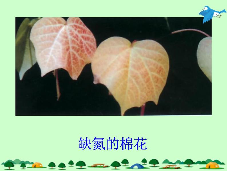 京改版九年级下册化学 12.3化学肥料 课件06