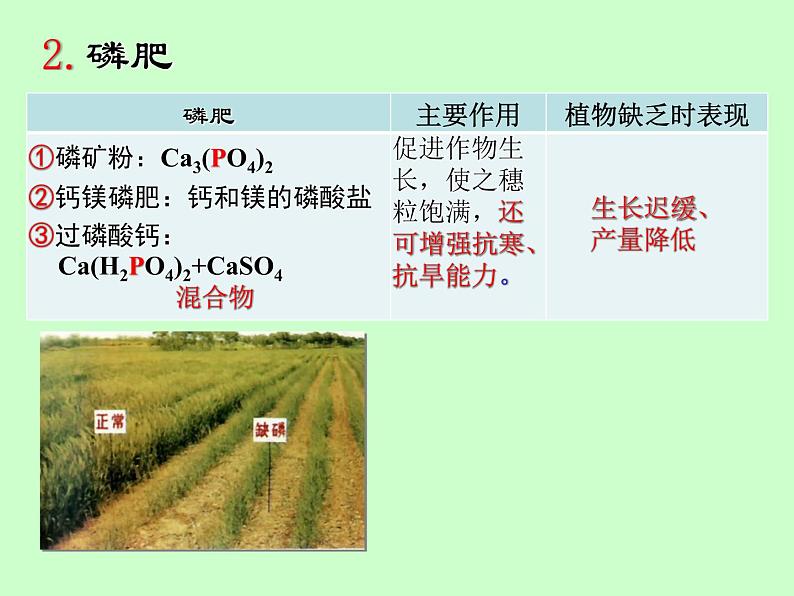 京改版九年级下册化学 12.3化学肥料 课件07