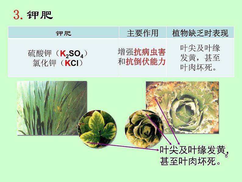 京改版九年级下册化学 12.3化学肥料 课件08