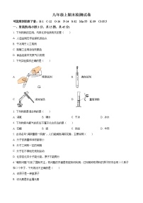 精品解析：四川省南充市蓬安中学校2021-2022学年九年级上学期期末化学试题含解析答案