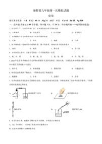 2022年河南省新野县中考一模化学试卷及答案解析