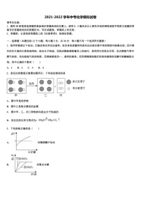 2021-2022学年山东省济南实验中学中考二模化学试题含解析