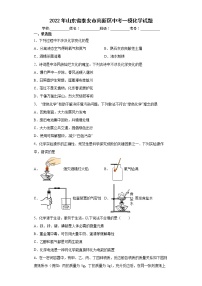 2022年山东省泰安市高新区中考一模化学试题(word版含答案)