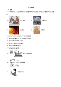 2022届河南省安阳市九年级中考一模化学试题解析版