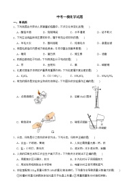 2022届河南省平顶山市中考一模化学试题解析版