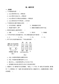 中考化学二轮专题复习-酸、碱的性质解析版