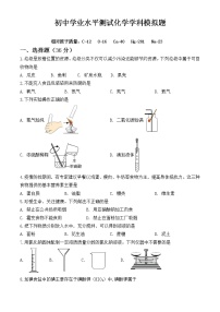 2022年山东省德州市中考模拟考试化学试题8 (word版含答案)