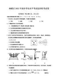 2022年四川省泸州市纳溪区中考适应性考试化学试题(word版无答案)