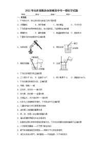 2022年山东省临沂市郯城县中考一模化学试题(word版含答案)