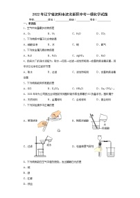 2022年辽宁省沈阳市沈北新区中考一模化学试题(word版含答案)