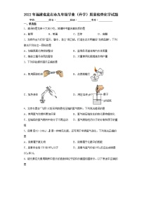 2022年福建省龙岩市九年级学业（升学）质量检查化学试题(word版含答案)