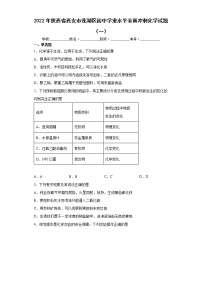 2022年陕西省西安市莲湖区初中学业水平全真冲刺化学试题（一）(word版含答案)