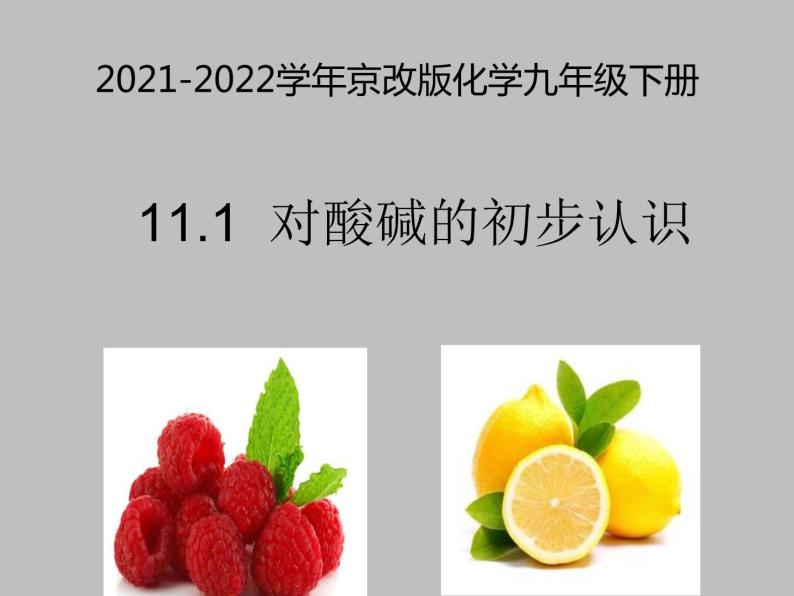 2021-2022学年京改版化学九年级下册 第十一章第一节 对酸碱的初步认识 课件201