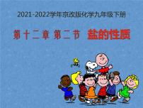 北京课改版九年级下册第二节 盐的性质课前预习ppt课件