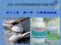 2021学年第一节 几种常见的盐示范课课件ppt