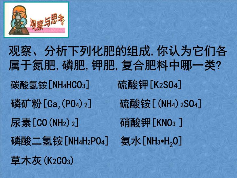 2021-2022学年京改版化学九年级下册 第十二章第三节 化学肥料 课件207