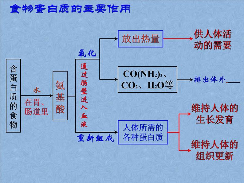 2021-2022学年京改版化学九年级下册 第十三章第一节 食物中的营养物质 课件2第8页