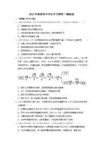 2022年陕西省中考化学专题练7-酸碱盐（有答案）