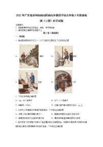 2022年广东省深圳市南山区南山外国语学校九年级5月质量检测（二模）化学试题