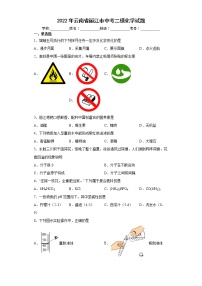 2022年云南省丽江市中考二模化学试题(word版含答案)